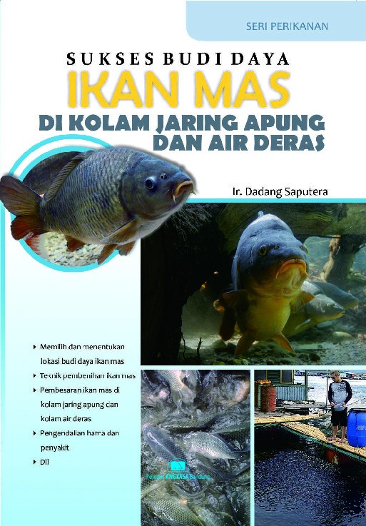 Sukses Budi Daya Ikan Mas di Kolam Jaring Apung dan Air Deras